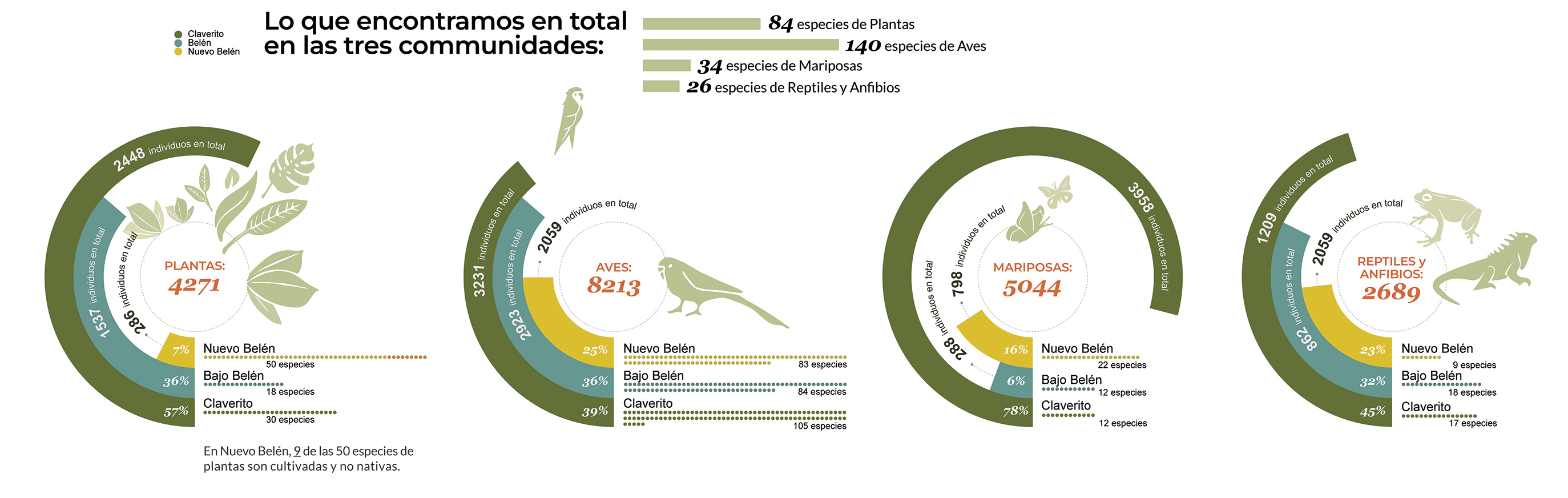 Números de especies