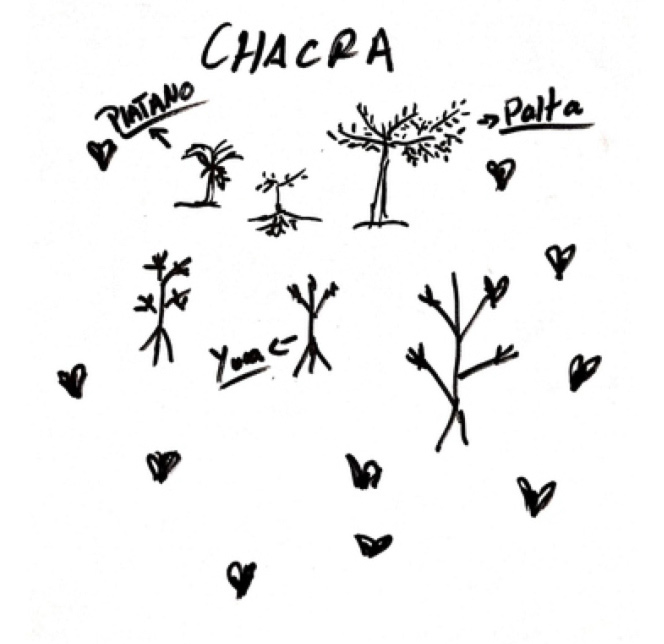 Resident's Drawing