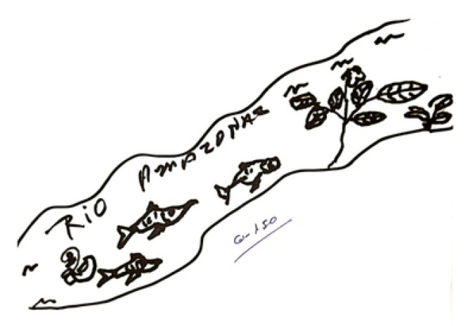 Resident's Drawing