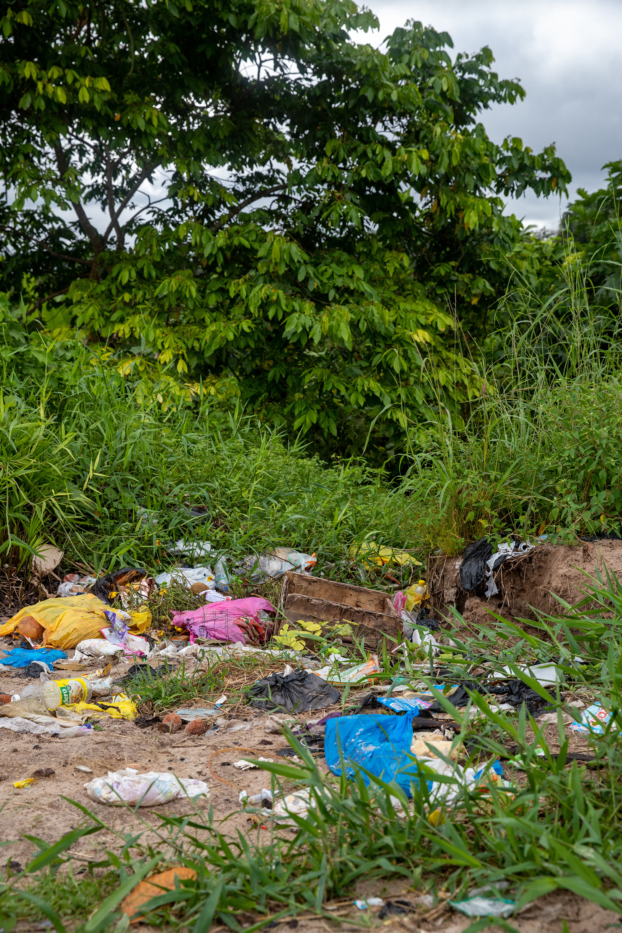 Trash in the forest